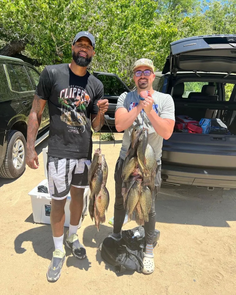 却已经展现 却已经展现