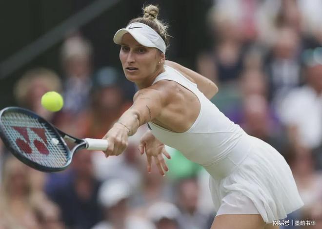 他精准的三 他精准的三